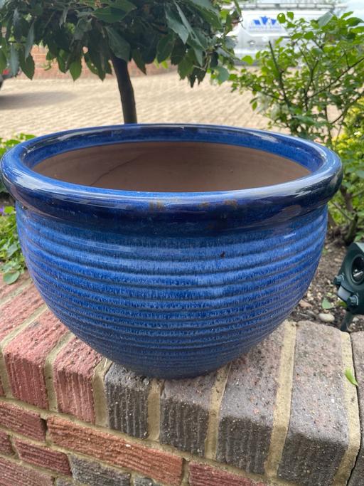 Buy & Sell Rush Green Barking and Dagenham - Photos for Blue garden pot