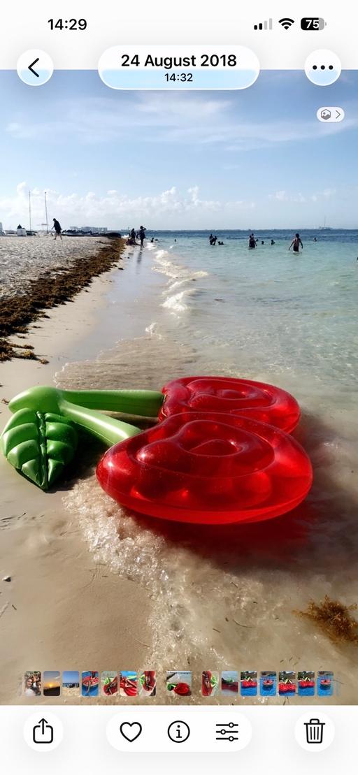 Buy & Sell Greenford Ealing - Photos for Large cherry beach float