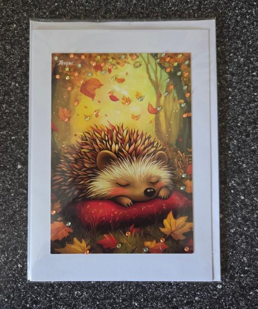 Classes Westgate-on-Sea Thanet - Photos for HEDGEHOG CARD