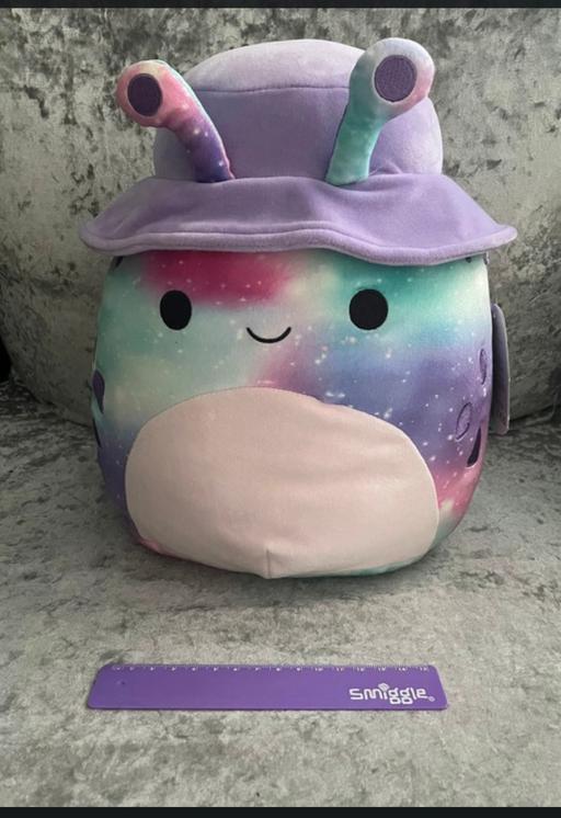 Buy & Sell Sefton Park Liverpool - Photos for Squishmallows 12