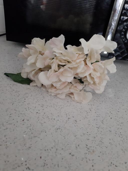 Buy & Sell South Hylton Sunderland - Photos for flowers