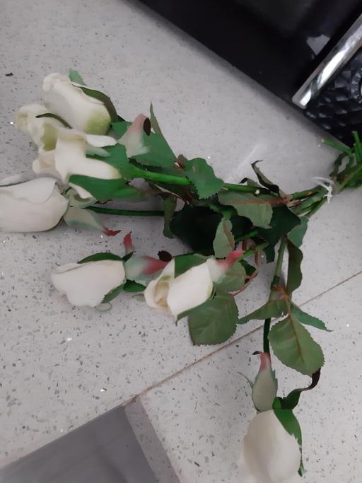 Buy & Sell South Hylton Sunderland - Photos for flowers