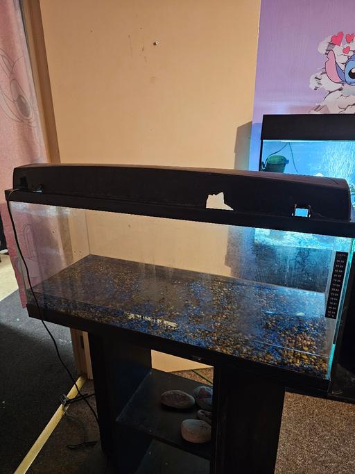 Buy & Sell Brinsford South Staffordshire - Photos for aqerium 80 led fish tank and stand 50 ono