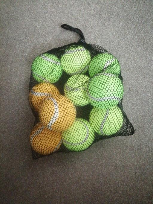 Buy & Sell Heath Town Wolverhampton - Photos for New bag of ten tennis balls