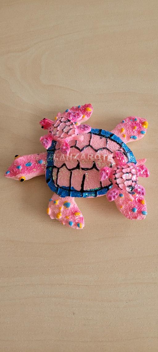 Buy & Sell Great Houghton Barnsley - Photos for pink turtle fridge magnet