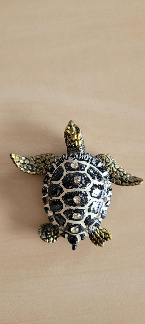 Buy & Sell Great Houghton Barnsley - Photos for Gold and black turtle