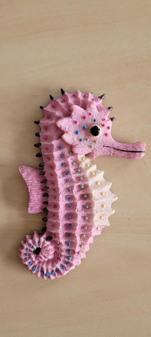 Buy & Sell Great Houghton Barnsley - Photos for pink seahorse fridge magnet