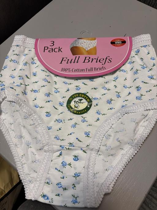 Buy & Sell Duckmanton Chesterfield - Photos for Ladies full briefs