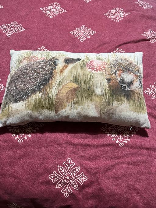 Buy & Sell Bradmore Wolverhampton - Photos for Cushion