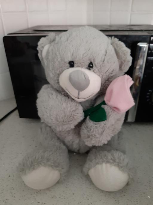 Buy & Sell South Hylton Sunderland - Photos for bargain ted