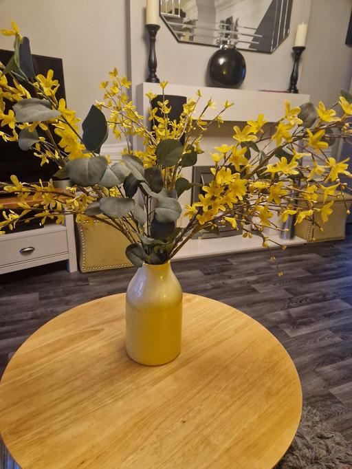 Buy & Sell Scholes Rotherham - Photos for Large pot vase with large flowers