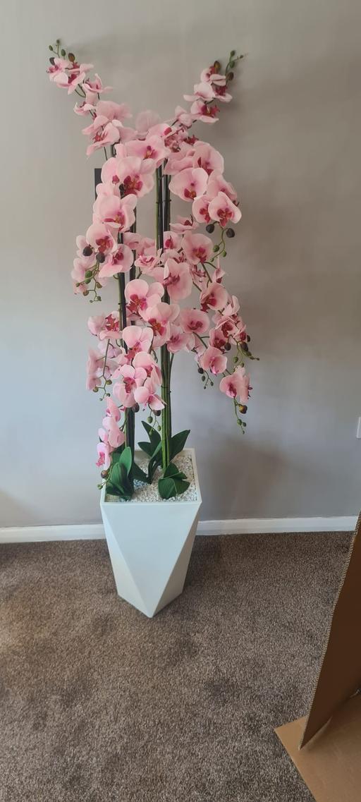 Buy & Sell Heath Town Wolverhampton - Photos for New large artificial orchid tree in pot