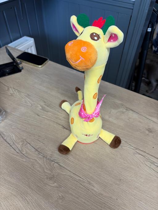 Buy & Sell Duckmanton Chesterfield - Photos for Singing dancing giraffe