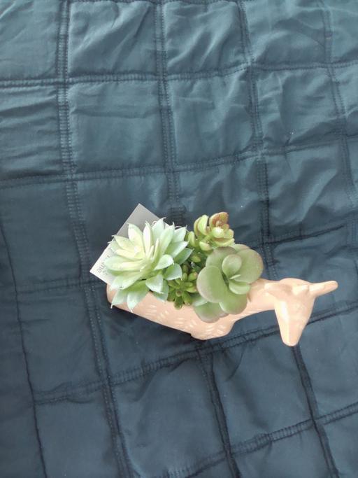 Buy & Sell Sutton Coldfield Birmingham - Photos for ornament