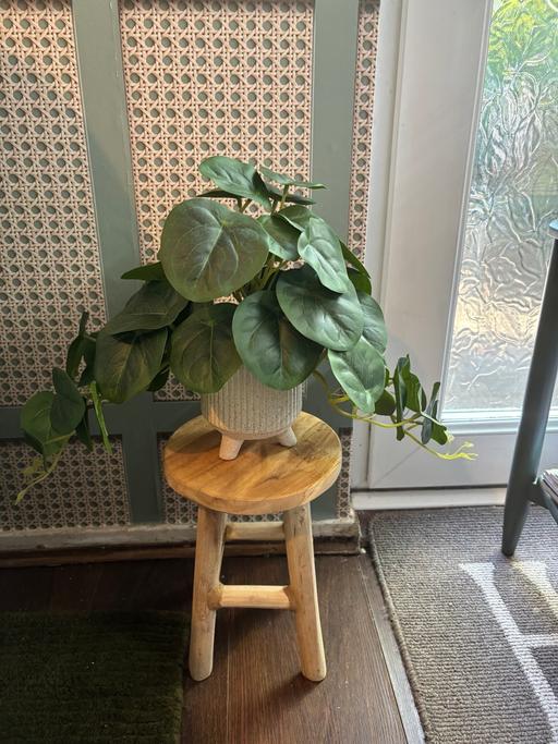 Buy & Sell Bartley Green Birmingham - Photos for Wooden table/stool & plant