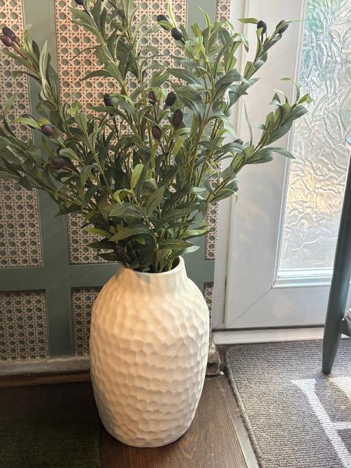 Buy & Sell Bartley Green Birmingham - Photos for Large vase of olive stems