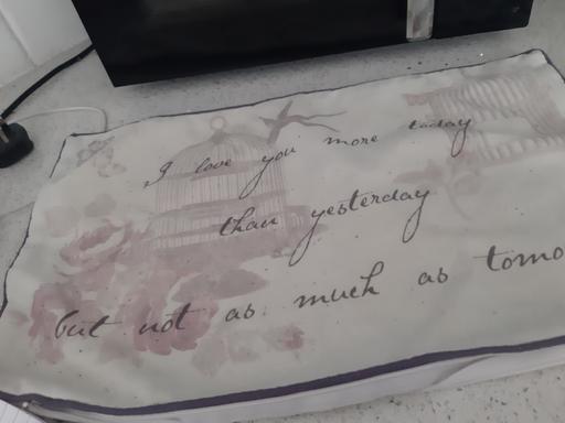 Buy & Sell South Hylton Sunderland - Photos for cushion cover