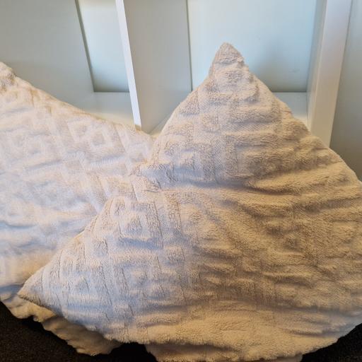 Buy & Sell High Green Sheffield - Photos for 2 x large cushions