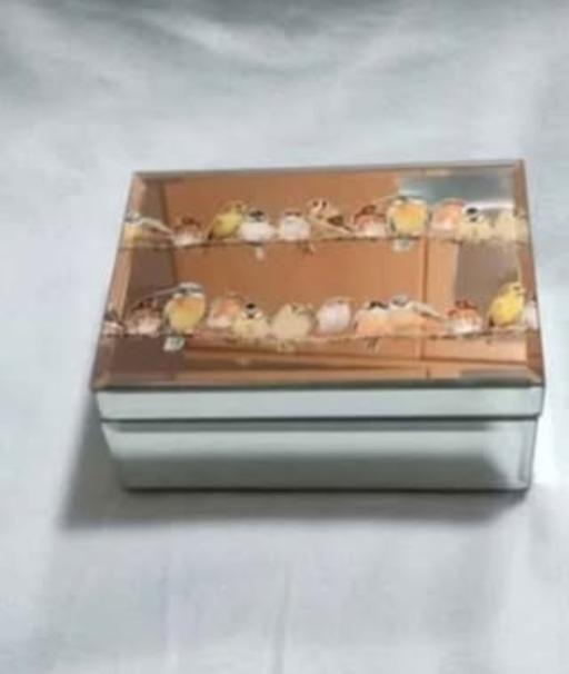 Buy & Sell Grafton Street Industrial Estate West Northamptonshire - Photos for New garden birds jewellery box