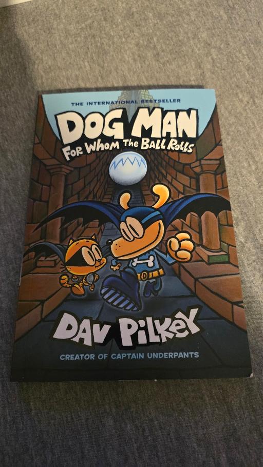 Buy & Sell Croydon Croydon - Photos for Dog Man - For Whom The Balls Roll