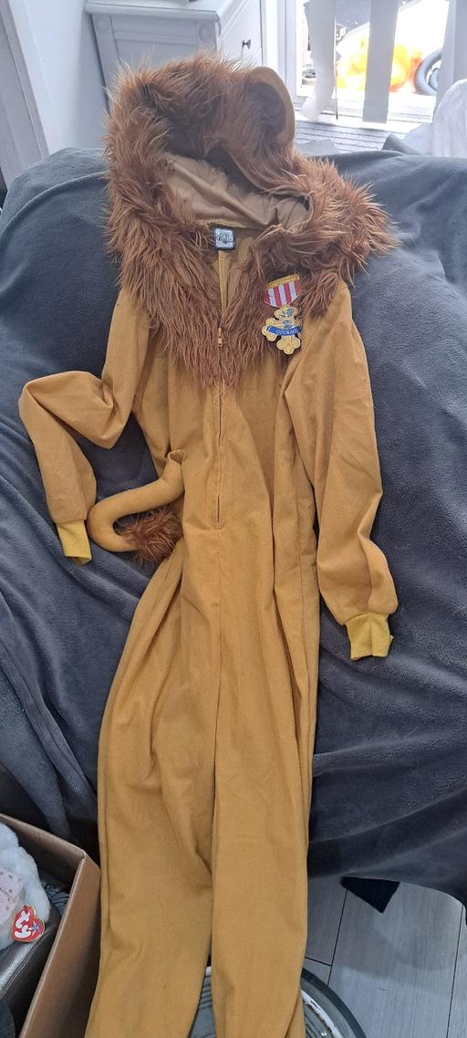 Buy & Sell Four Oaks Birmingham - Photos for The Wizard of Oz costume