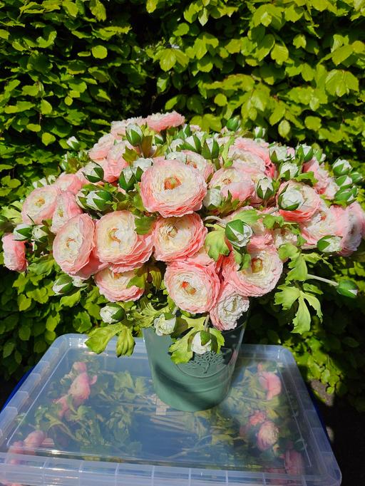 Buy & Sell Bradmore Wolverhampton - Photos for 8 artificial flowers 💮🌸 NEW