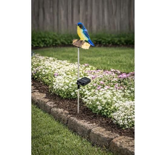 Buy & Sell Sidcup Bexley - Photos for Motion -Sensored Bluebird