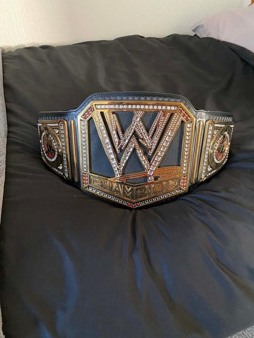 Buy & Sell Ballycastle Causeway Coast and Glens - Photos for WWE Championship Belt