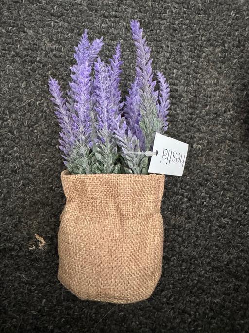 Buy & Sell Blackpool Town Centre Blackpool - Photos for 🌿 Lavender Artificial Flowers