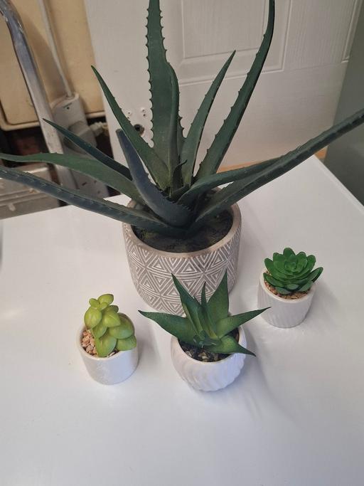 Buy & Sell Rednal Birmingham - Photos for artificial plants