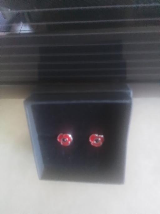 Buy & Sell Streetly Walsall - Photos for BRABD NEW IN BOX EARRINGS