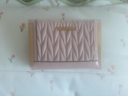 Buy & Sell Bolton-Upon-Dearne Barnsley - Photos for River Island purse dusky pink