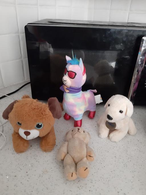 Buy & Sell South Hylton Sunderland - Photos for 4pk