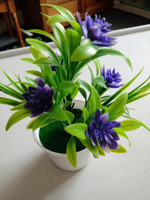 Buy & Sell Horncastle East Lindsey - Photos for brand new artificial plant pot