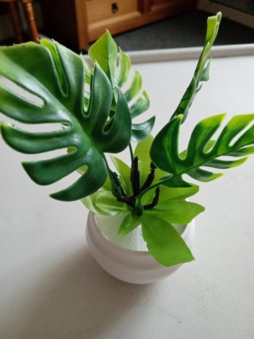 Buy & Sell Horncastle East Lindsey - Photos for brand y 7