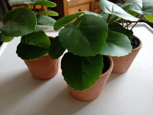 Buy & Sell Horncastle East Lindsey - Photos for 3 ornamental artificial plants