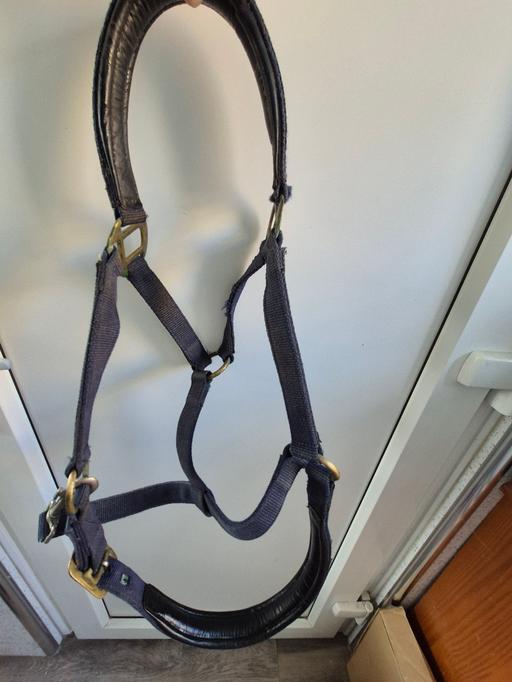 Buy & Sell North Bradley Wiltshire - Photos for Blue nylon webbing and leather full size head
