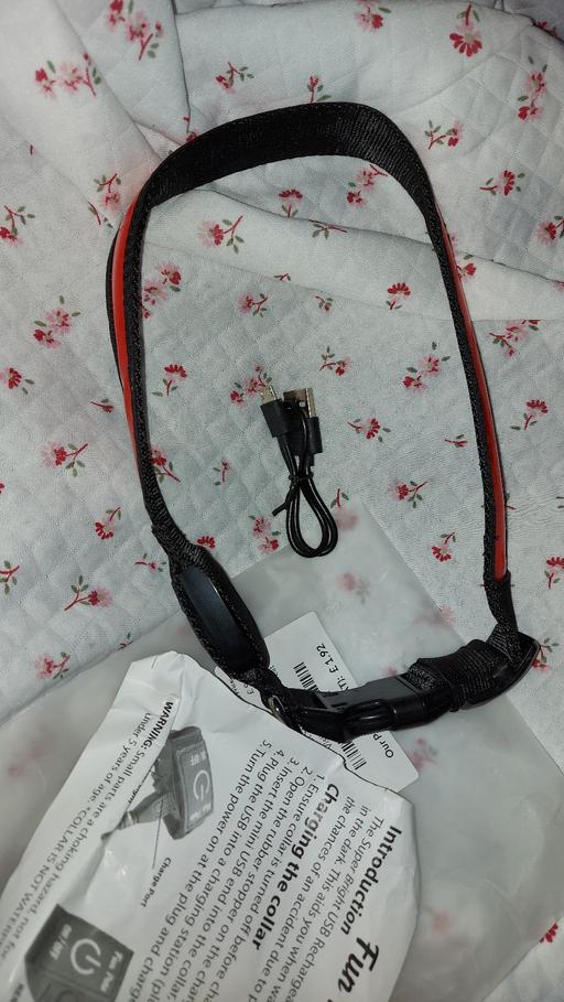 Buy & Sell Lower Darwen Blackburn with Darwen - Photos for fun pets dog collar new