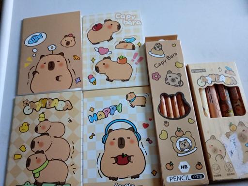Buy & Sell Horncastle East Lindsey - Photos for joblot of Capybara notebooks & stationery