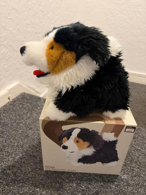 Buy & Sell Bordesley Green Birmingham - Photos for Toy