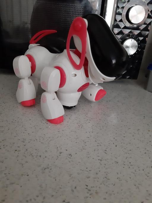 Buy & Sell South Hylton Sunderland - Photos for working dog