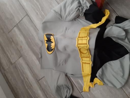 Buy & Sell South Hylton Sunderland - Photos for fancy dress