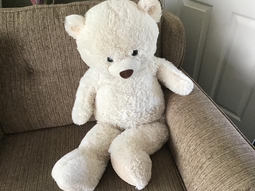 Buy & Sell Essington Wolverhampton - Photos for Lovely big teddy