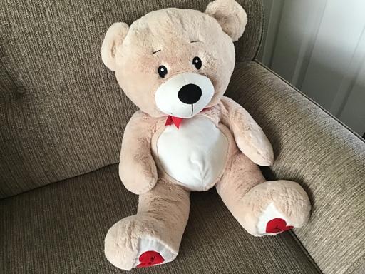 Buy & Sell Essington Wolverhampton - Photos for Nice big teddy