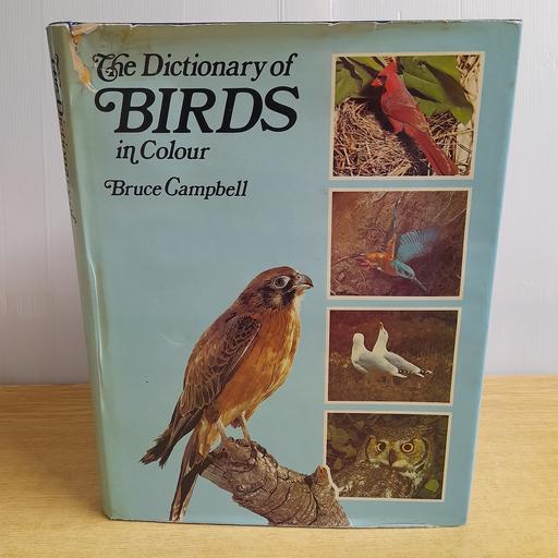 Buy & Sell Bamber Bridge South Ribble - Photos for THE DICTIONARY OF BIRDS