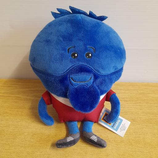 Buy & Sell Preston South Ribble - Photos for MESSY MESSI (Kevin The Carrot)