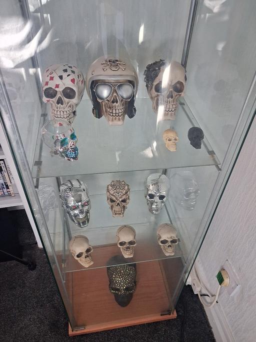 courses Litherland Sefton - Photos for Glass cabinet showcase with skeletons