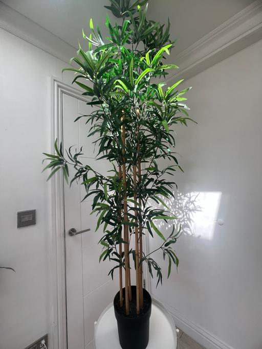 Buy & Sell Greenford Ealing - Photos for Artificial potted plant, bamboo.
