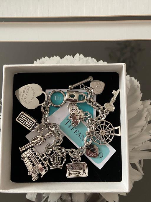 Buy & Sell Hamilton South Lanarkshire - Photos for Lovely new boxed charm bracelet