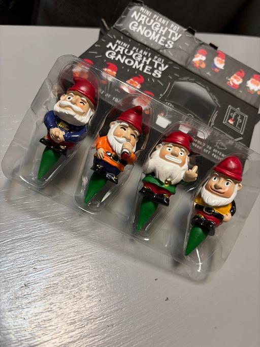 Buy & Sell Duckmanton Chesterfield - Photos for Mini plant pot naughty gnomes
